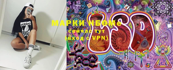 apvp Ельня