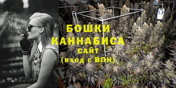 apvp Ельня