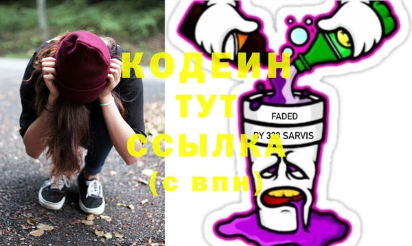 apvp Ельня