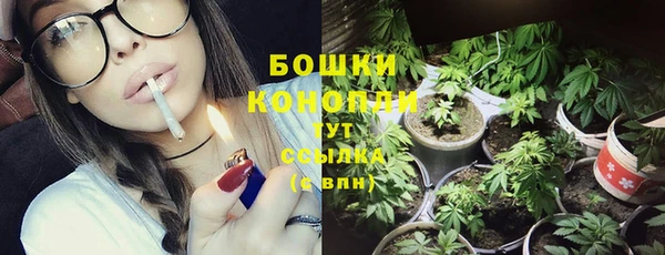 дмт Дмитров