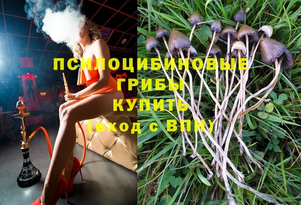 дмт Дмитров