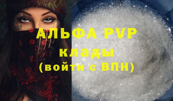 apvp Ельня