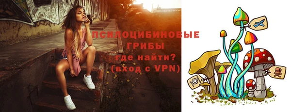 молекула духа Дмитровск