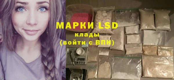 apvp Ельня