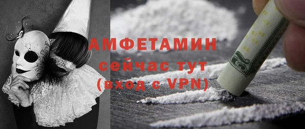 apvp Ельня