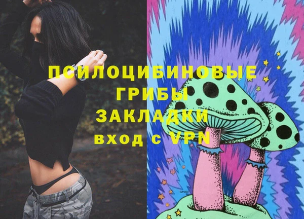 apvp Ельня