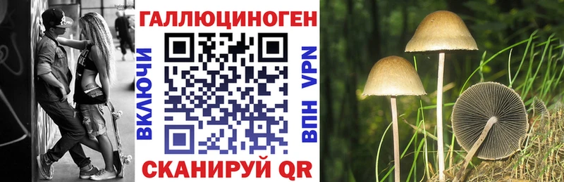 цены наркотик  Геленджик  ссылка на мегу ONION  Галлюциногенные грибы Cubensis 