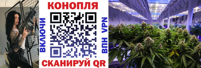 Конопля план  Геленджик 